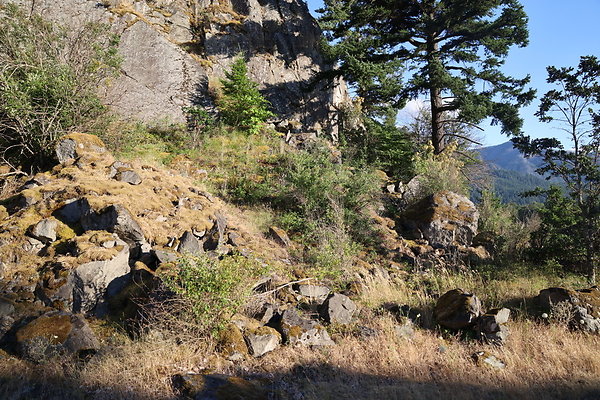 Government Island 327