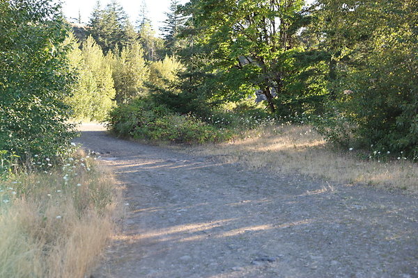 Government Island 118