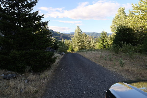 Government Island 067