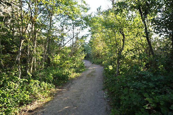 Government Island 304