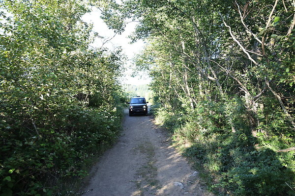 Government Island 310