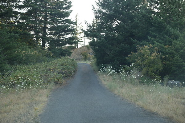 Government Island 485