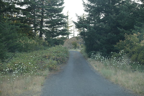 Government Island 486