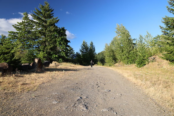 Government Island 194