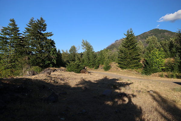 Government Island 217