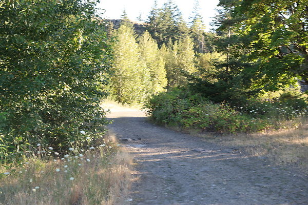 Government Island 119