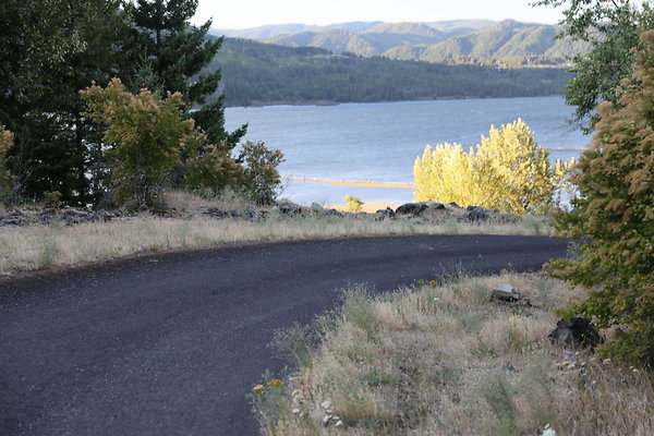 Government Island 499