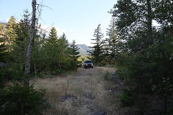 Government Island 435