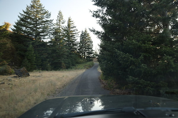 Government Island 484