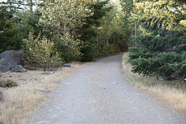 Government Island 317