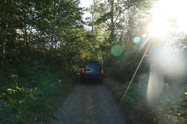 Government Island 297