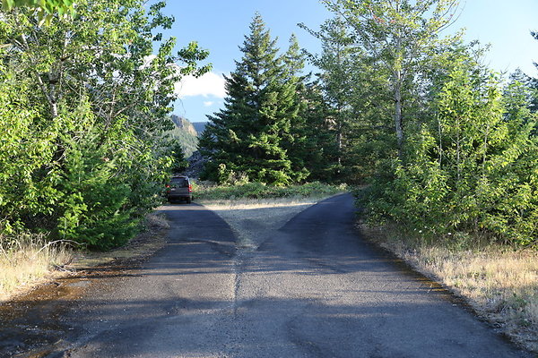 Government Island 479