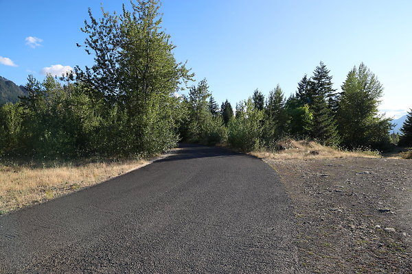 Government Island 098