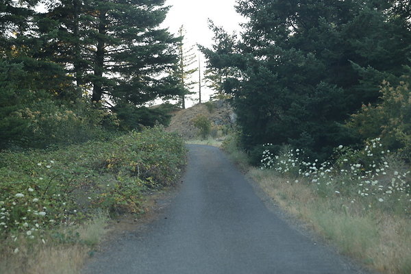 Government Island 487