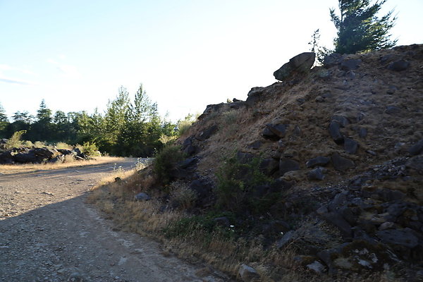 Government Island 326