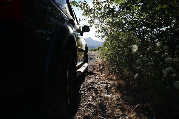 Government Island 257