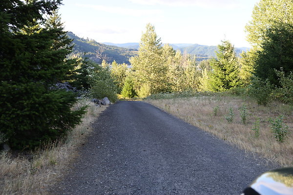 Government Island 068