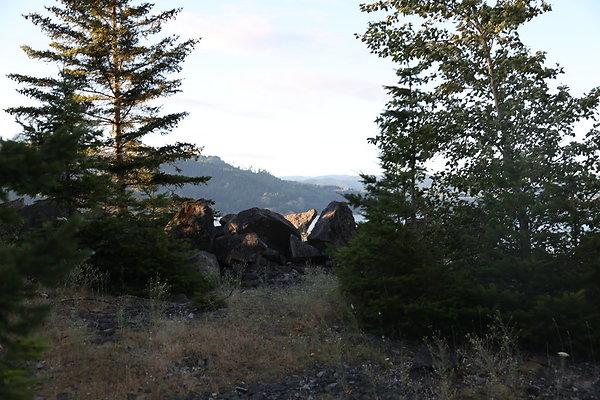 Government Island 432