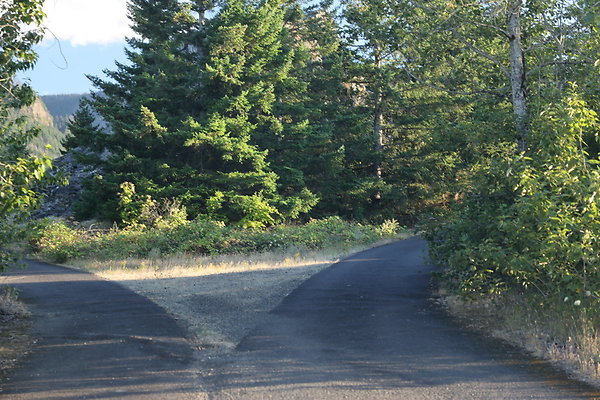 Government Island 472