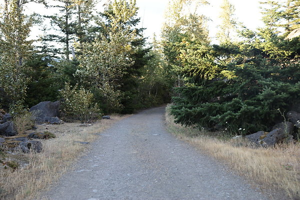 Government Island 316