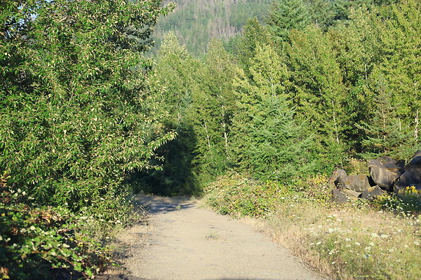 Government Island 464