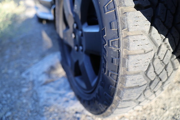 Government Island 250