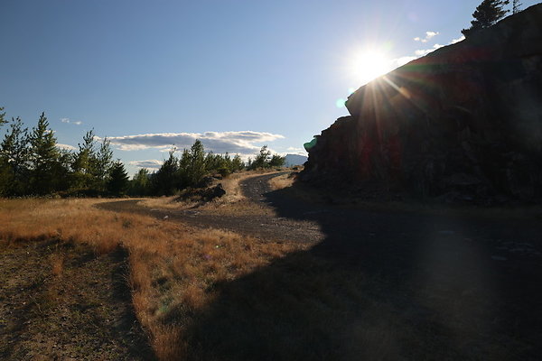 Government Island 012