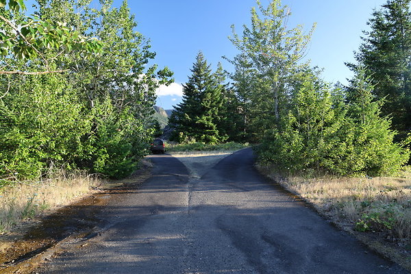 Government Island 478