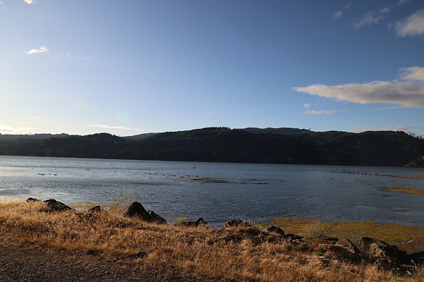 Government Island 283