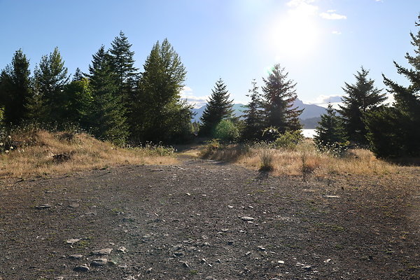 Government Island 109