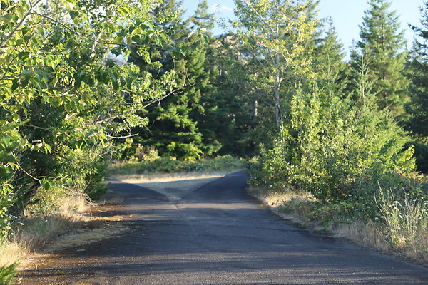 Government Island 469