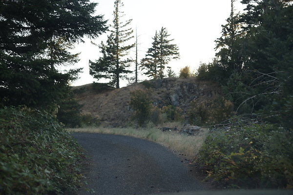 Government Island 493