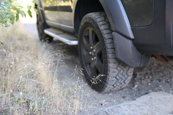 Government Island 153