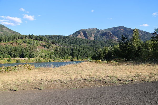 Government Island 100