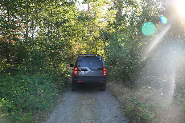 Government Island 298