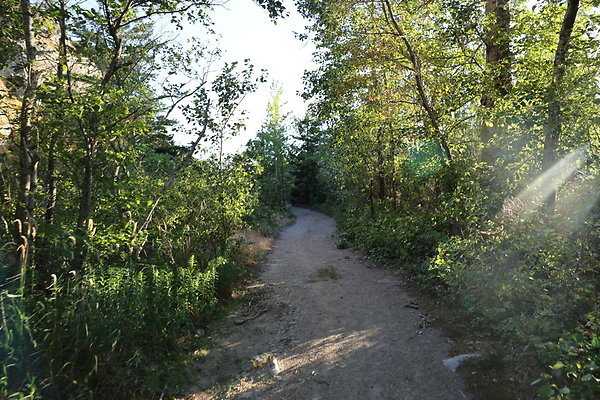 Government Island 307