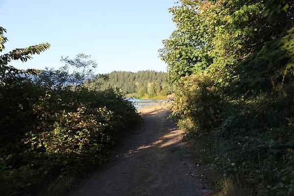 Government Island 294