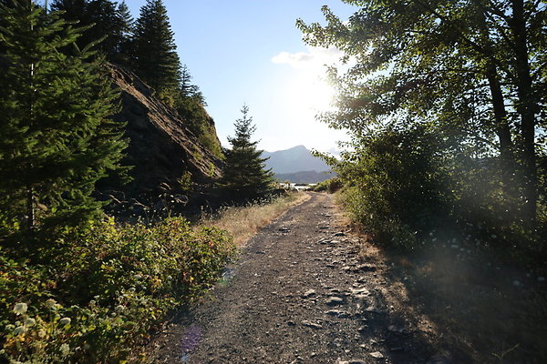 Government Island 246