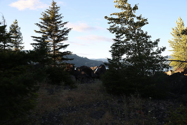 Government Island 431