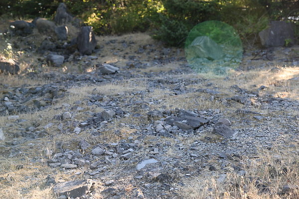 Government Island 151