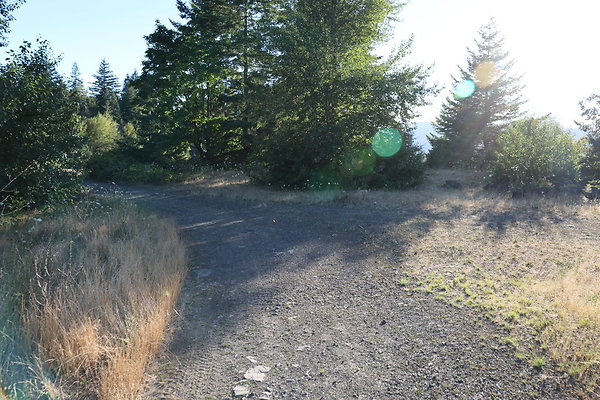 Government Island 116