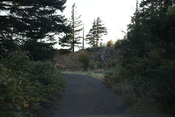 Government Island 491