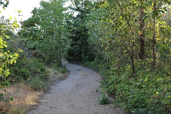 Government Island 309