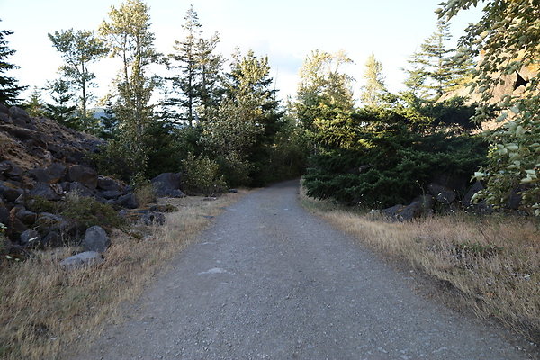 Government Island 315