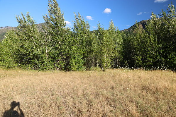 Government Island 019