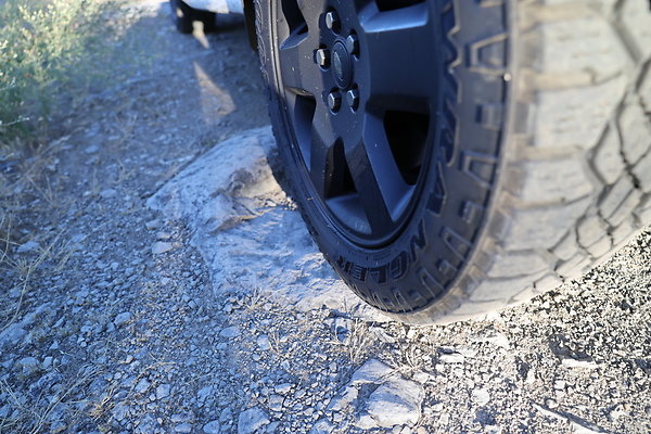 Government Island 251