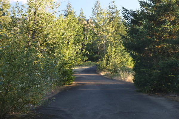 Government Island 467