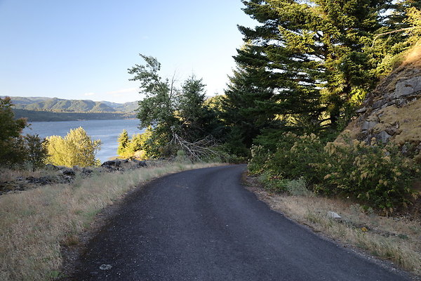 Government Island 502