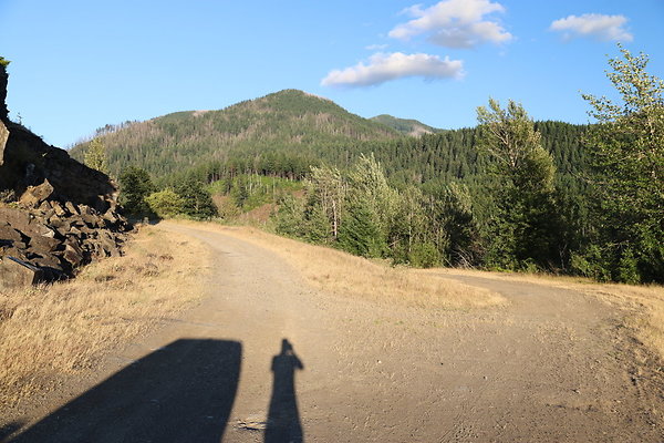 Government Island 549