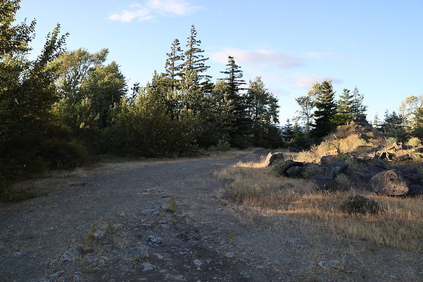 Government Island 423